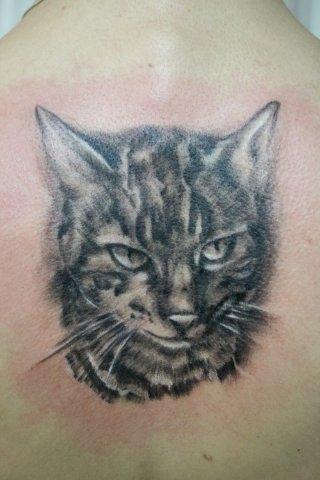 Фото, значение в магии татуировки " Кот. Кошка. Котенок. " 849Lqc9Ab5M