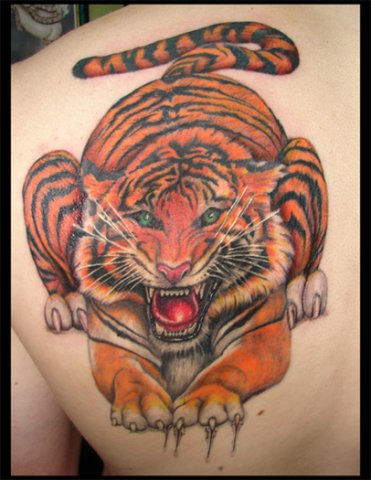 Фото и  значения татуировки Тигр. UtdShXQeg84